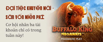 Thể Thao Kịch Tính Mỗi Ngày